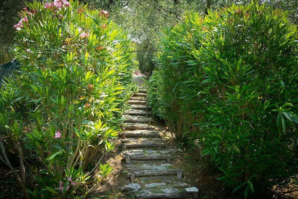 Casa vacanze Villa Al Vecchio Metato Valgiano